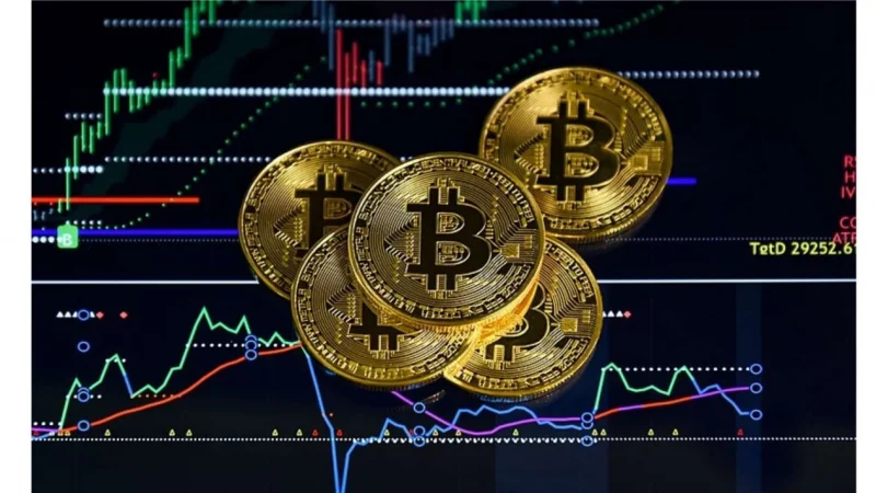 Dompet Kripto Quantum-Safe Oktober 2026: Saat Lonjakan Pajak UMKM Jakarta Paksa Pebisnis Beralih ke Sistem Keuangan Desentralisasi Berbasis Algoritma Kriptografi Kebal Peretasan
